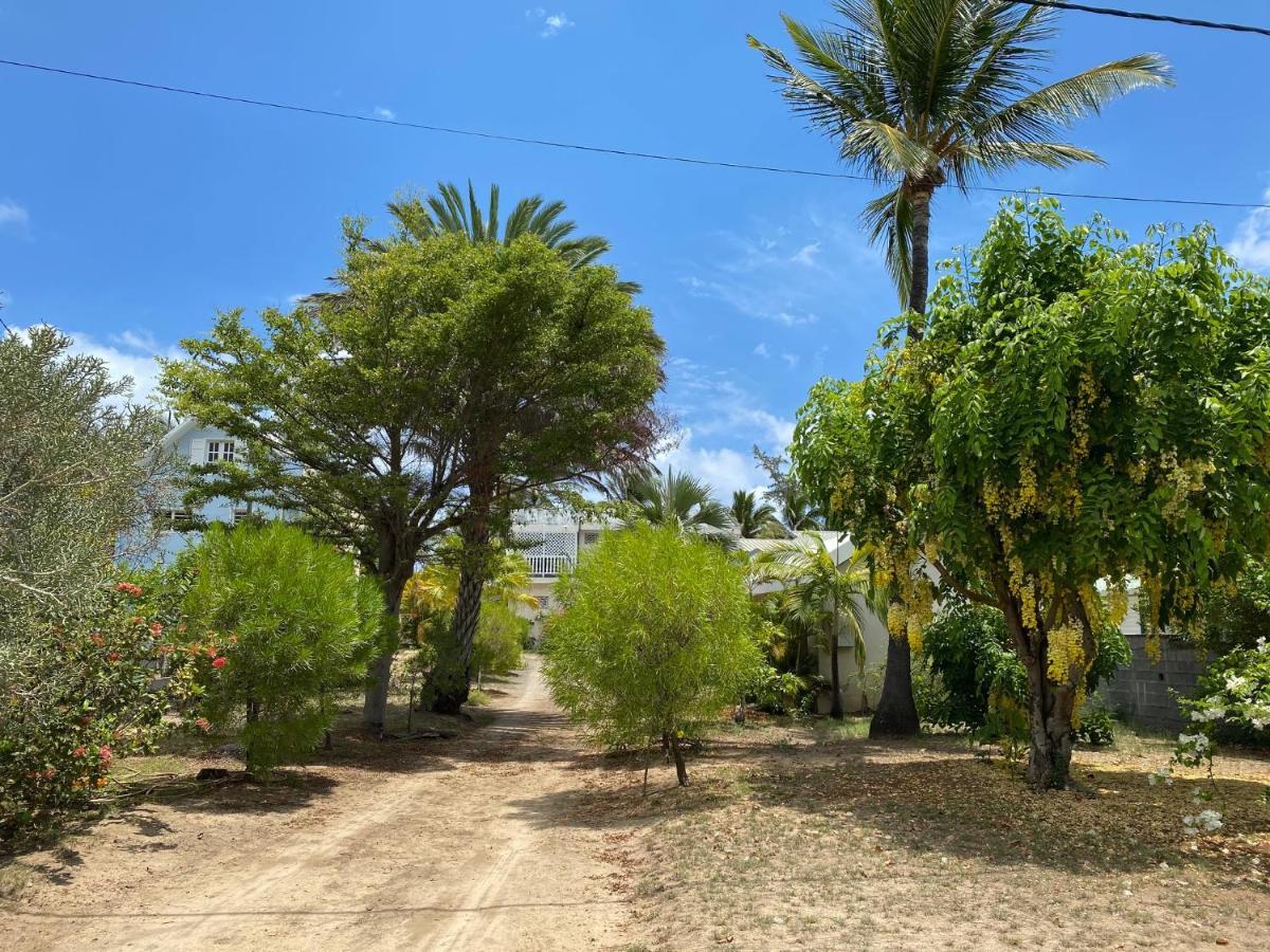 Villa & Bungalow 'Coco Des Sables' Les Pieds Dans L'Eau La Saline Les Bains Exterior photo